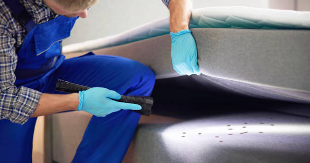 Best Pest Removal Services  in Bloomfield, NM